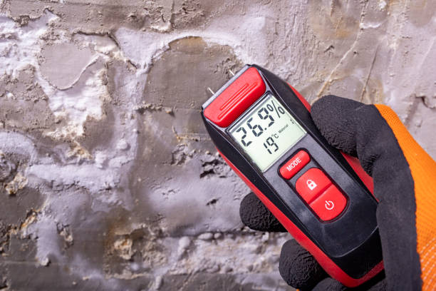 Best Water Damage Restoration  in Pontotoc, MS