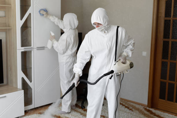 Best Emergency Mold Removal  in Pontotoc, MS