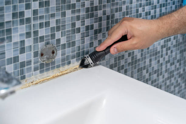Best Professional Mold Removal  in Pontotoc, MS